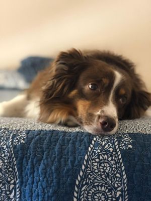 Old School Mechanical