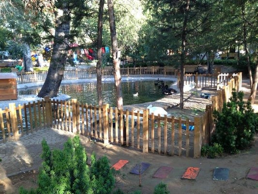 Kuğulu Park by null