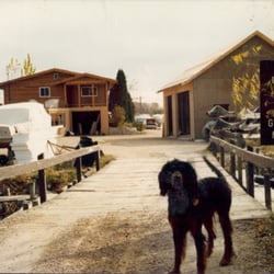 Bean's Greenwood Marina