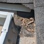 Photo of Superior Siding
