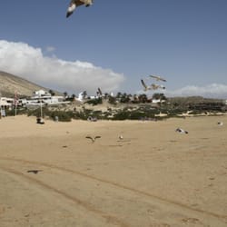 Strand - ...die Möwen tanzen im Wind!