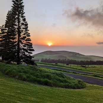 Paniolo BBQ Dinner - Instagram: @telephonesmoothie - Barbeque Near Me - Waimea, Hawaii