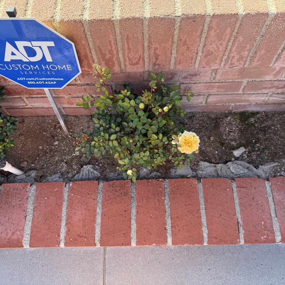Kyle Taylor Landscape and Irrigation - Before - Landscaping Near Me - Lebec, California Kyle Taylor Landscape and Irrigation - Before - Landscaping Near Me - Lebec, California