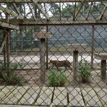 Popcorn Park Zoo - Zoos Near Me - Forked River, New Jersey Popcorn Park Zoo - Zoos Near Me - Forked River, New Jersey