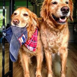 Liberty Pet Hospital