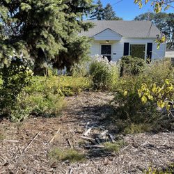 Carrillo's Landscaping - Before the cleaning