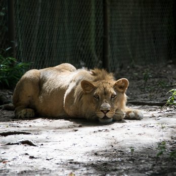 Zoosiana - Petting Zoos Near Me - Broussard, Louisiana