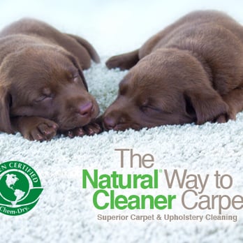 Naturewise Chem-Dry - Carpet Cleaning Near Me - Maplewood, Minnesota Naturewise Chem-Dry - Carpet Cleaning Near Me - Maplewood, Minnesota