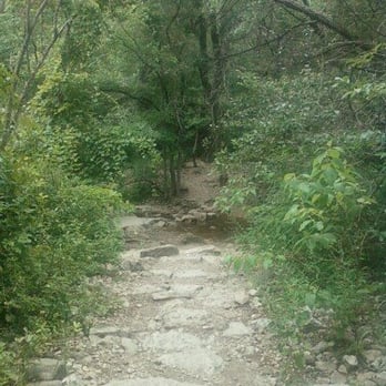 Bull Creek Greenbelt - Parks Near Me - Austin, Texas