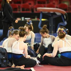 Adrenaline Gymnastics Academy