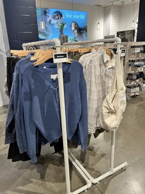 American Eagle by null