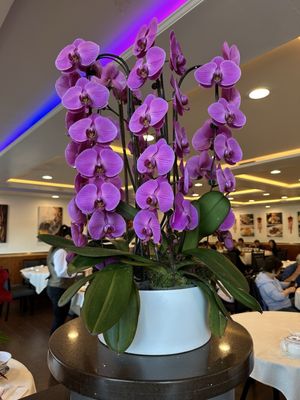 Seafood Palace by null