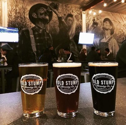 Old Stump Brewing Co. by null