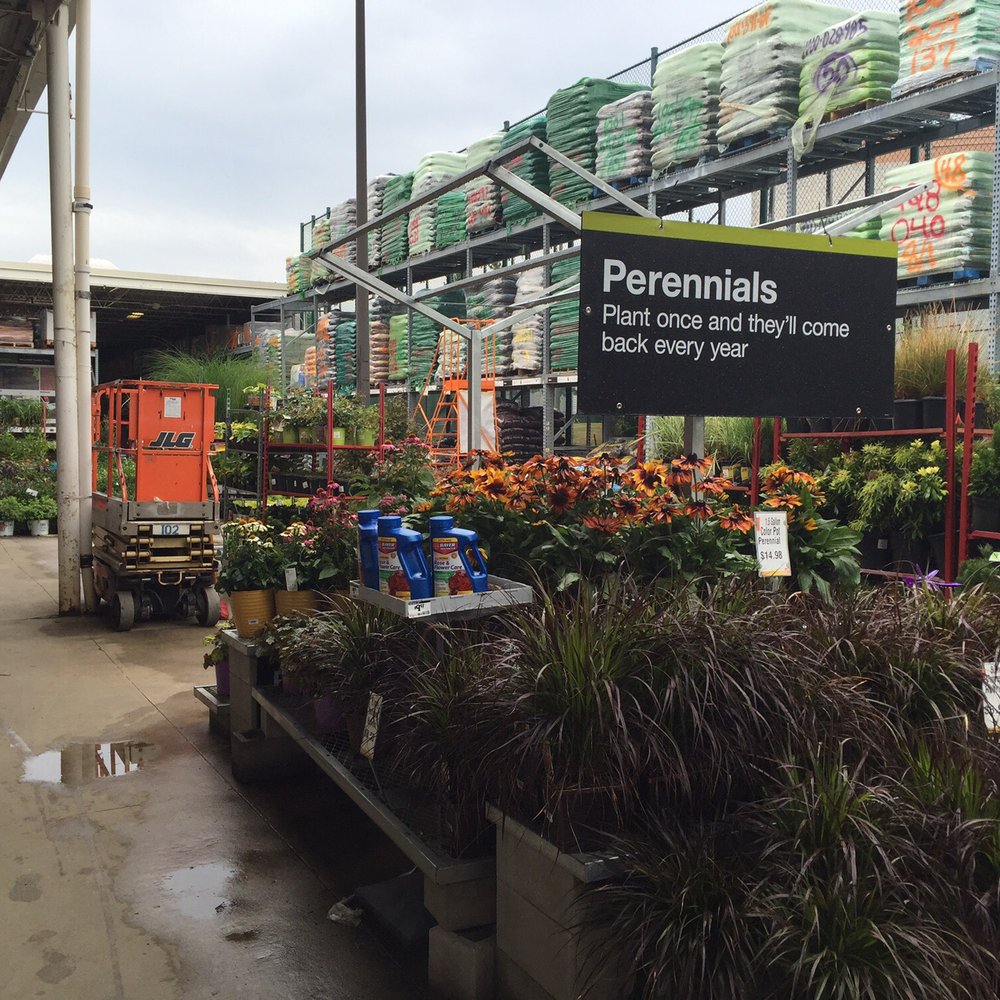 The Home Depot - Nice selection of plants. - Hardware Stores Near Me - Freehold, New Jersey The Home Depot - Nice selection of plants. - Hardware Stores Near Me - Freehold, New Jersey