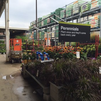 The Home Depot - Nice selection of plants. - Hardware Stores Near Me - Freehold, New Jersey The Home Depot - Nice selection of plants. - Hardware Stores Near Me - Freehold, New Jersey