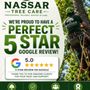 Photo of Nassar Tree Care
