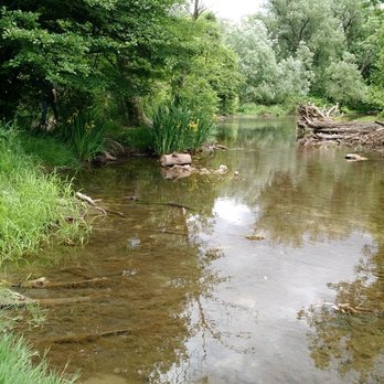 Amherst State Park - Ellicottt Creek during late spring, early summer. - Dog Parks Near Me - Buffalo, New York