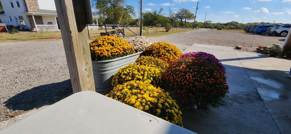 Reeves Family Farm Store by null