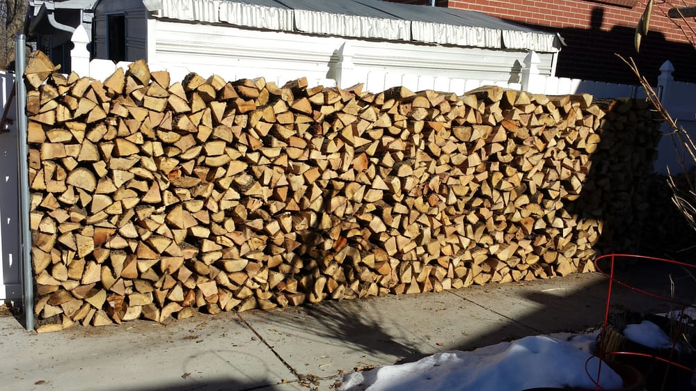 Services Unlimited - tree service in Denver, CO