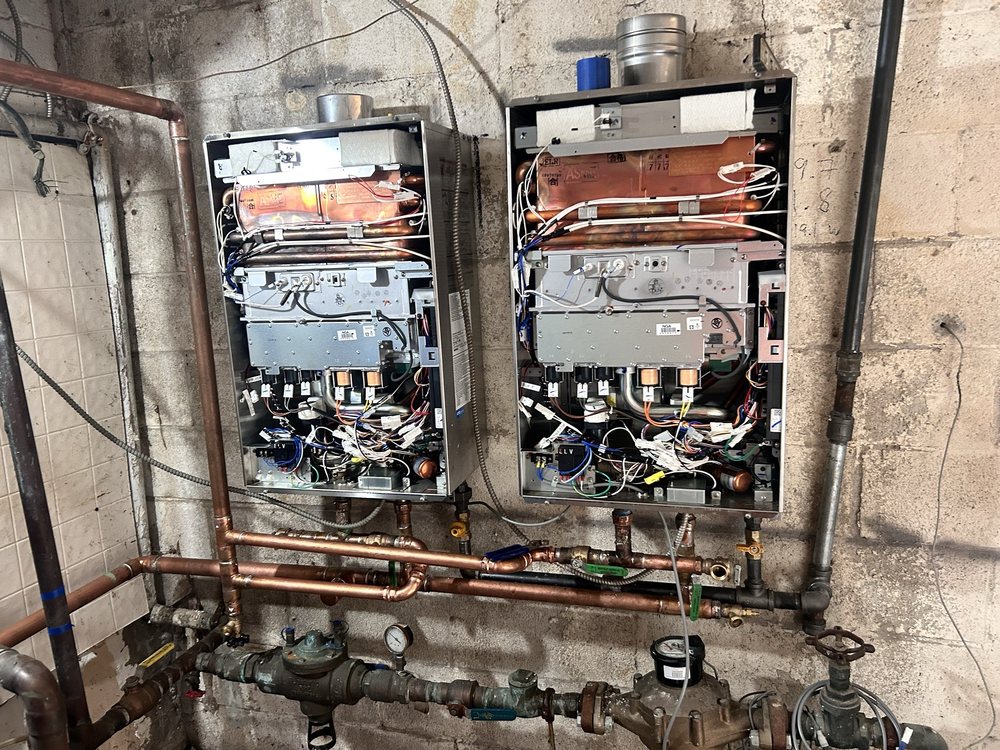 Slide of Fish The Plumber