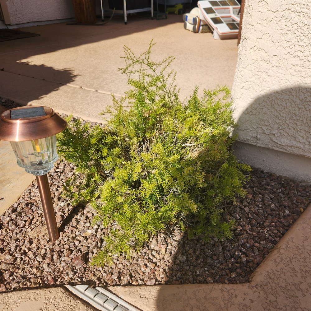 Affordable Lawn Maintenance - Landscaping Near Me Affordable Lawn Maintenance - Landscaping Near Me