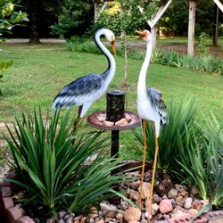 Tuesday Morning - My pair of cranes