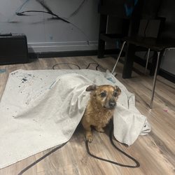 Escape Room 66 - Come and meet fearless Gamemaster Farley