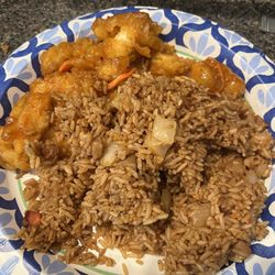 North Garden Chinese Restaurant - Crunchy Hunan Chicken Pork fried rice