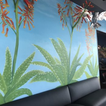 Texican Cafe - Mexican Near Me - Kyle, Texas