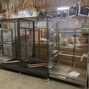 Everything Birds - A couple of the HUGE cages I was looking at. (I forgot to take pics while i was there, will have to get some next time) - Bird Shops Near Me - Oldsmar, Florida Everything Birds - A couple of the HUGE cages I was looking at. (I forgot to take pics while i was there, will have to get some next time) - Bird Shops Near Me - Oldsmar, Florida