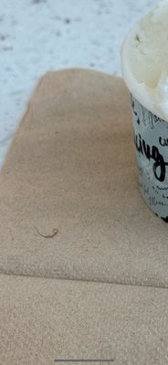 Paciugo Gelato Cafe by null