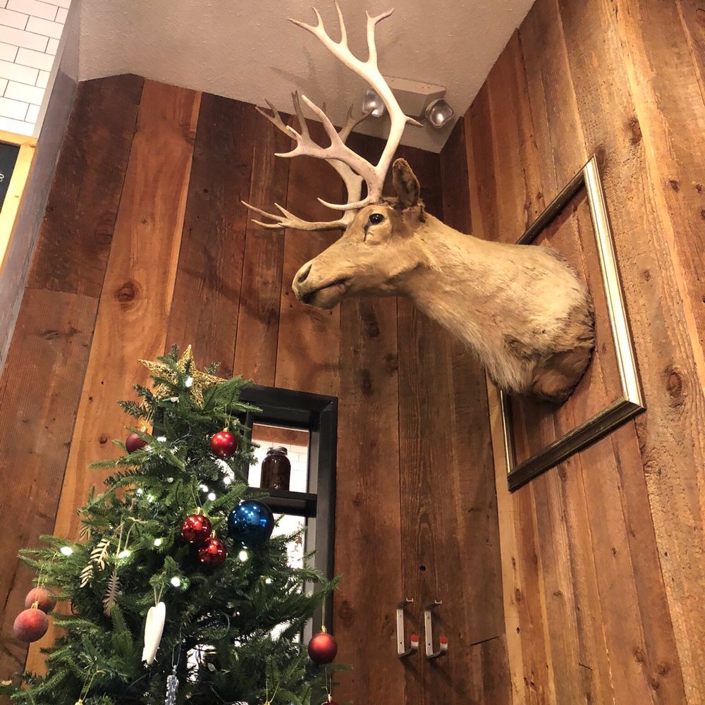The Ruby - Johnson Street - Deer head decorations - Breakfast & Brunch Near Me - Victoria, British Columbia The Ruby - Johnson Street - Deer head decorations - Breakfast & Brunch Near Me - Victoria, British Columbia