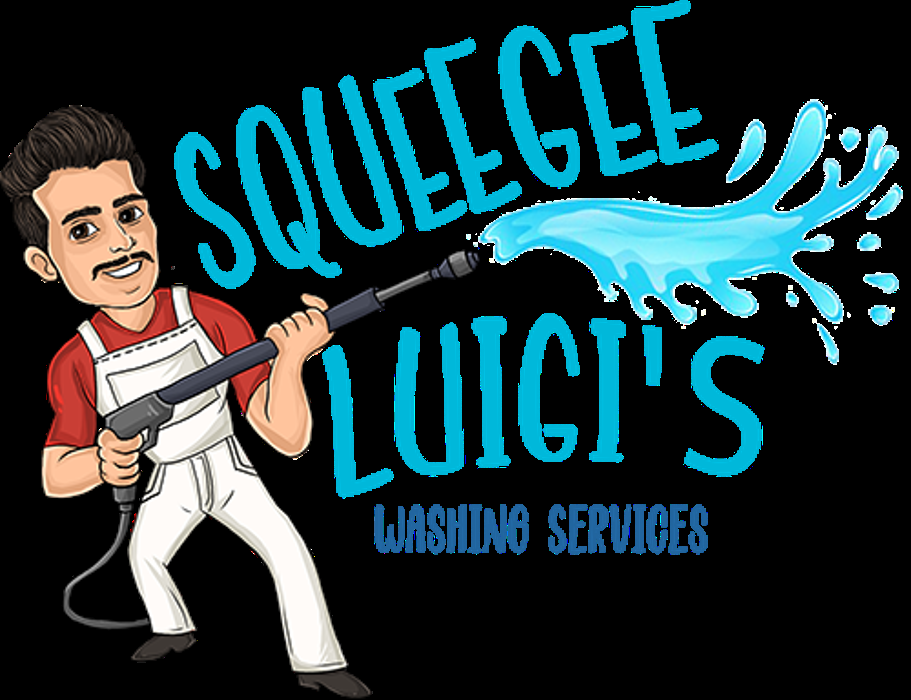 SQUEEGEE LUIGI’S WASHING SERVICES Monte Vista, Colorado Window