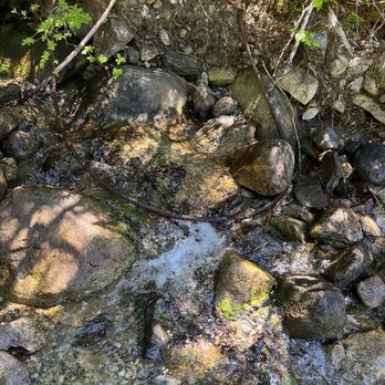 Dirty Harry's Balcony - Old lumber harvest cable history - Hiking Near Me