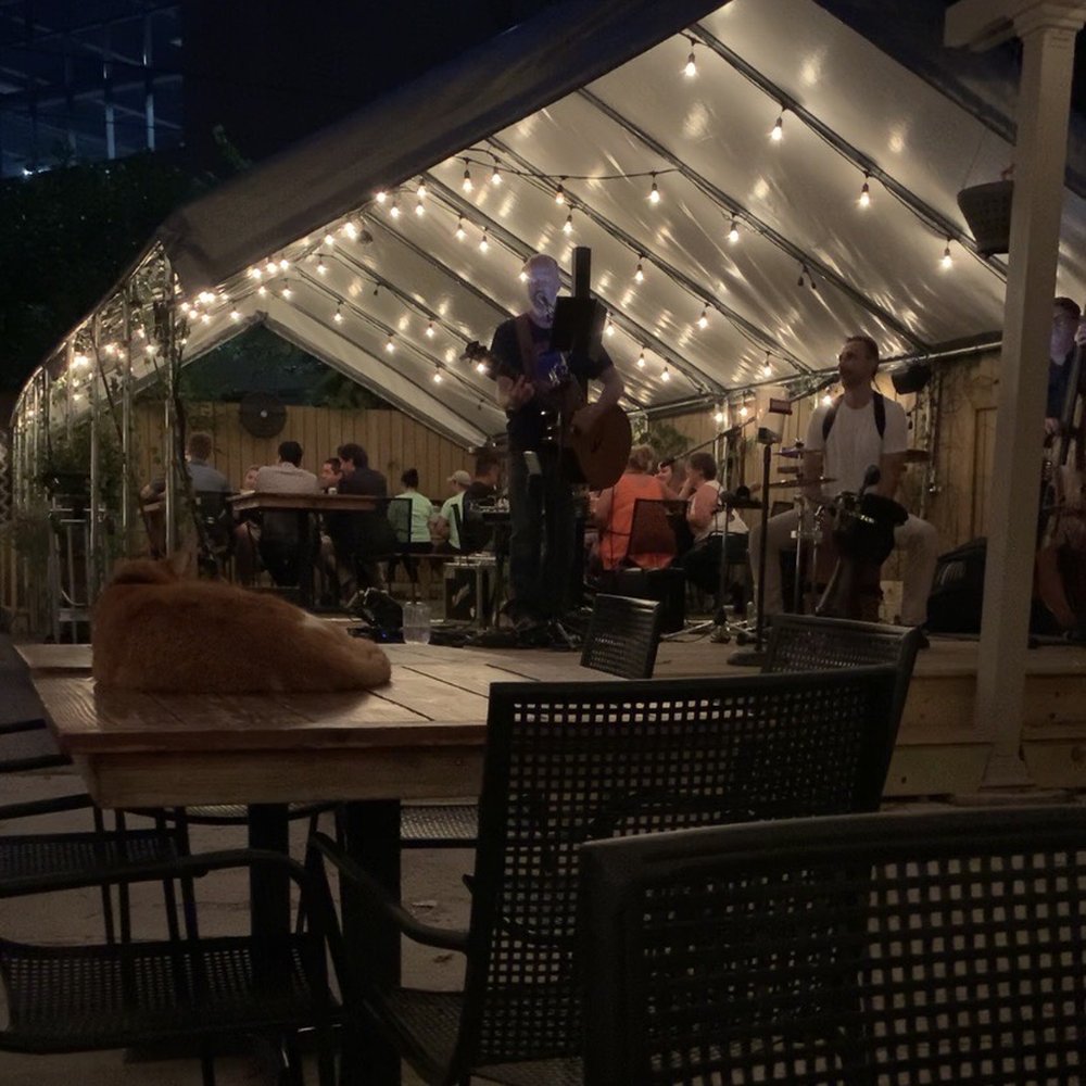 Kaiser Tiger - Patio & Band at night - New American Near Me - Chicago, Illinois Kaiser Tiger - Patio & Band at night - New American Near Me - Chicago, Illinois