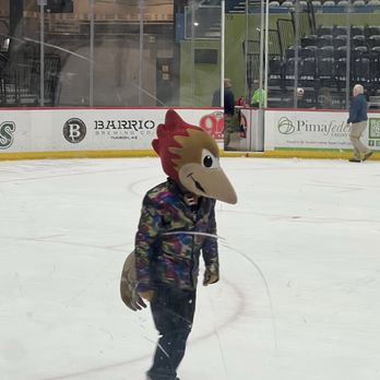 Tucson Roadrunners - Professional Sports Teams Near Me - Tucson, Arizona Tucson Roadrunners - Professional Sports Teams Near Me - Tucson, Arizona