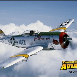 Tennessee Museum of Aviation - Republic P-47 Thunderbolt