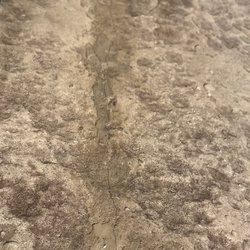 Bomanite Artistic Concrete & Pools - Crack the entire width of the walkway and stretching into coping.
