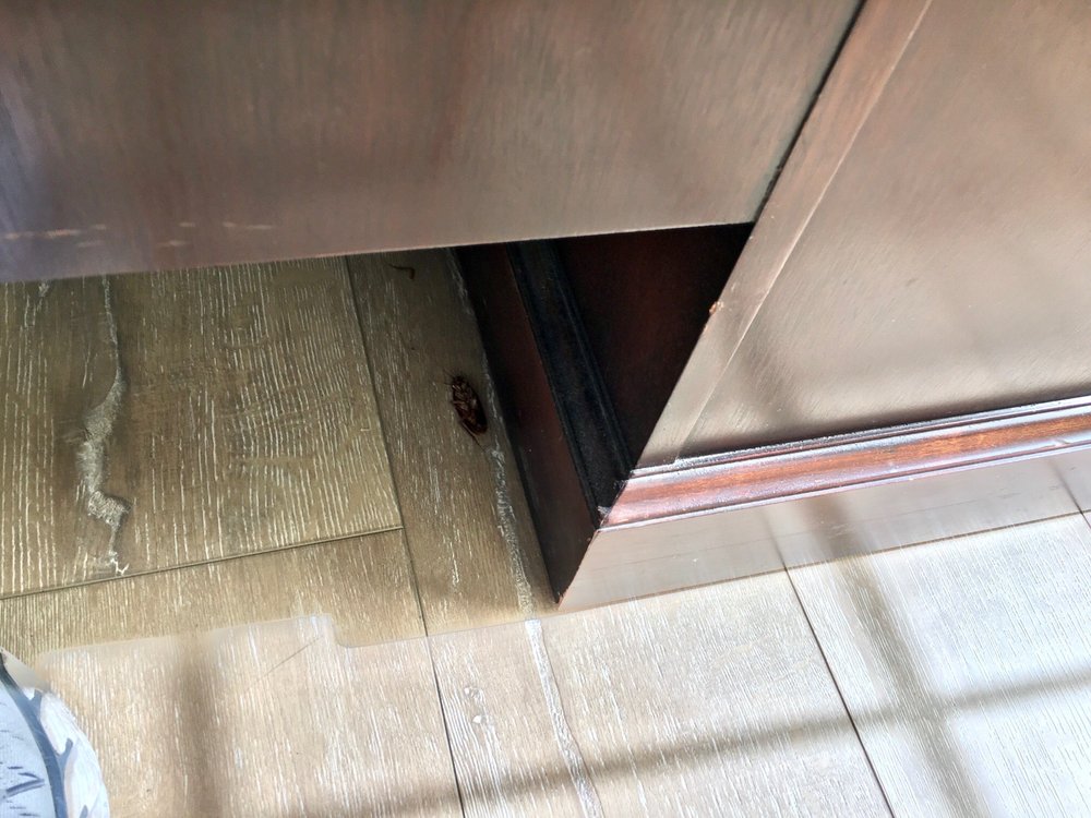 ZOE ACUPUNCTURE & HERBS CENTER Updated September 2024 36 Photos