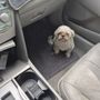 Hero Pet Animal Hospital