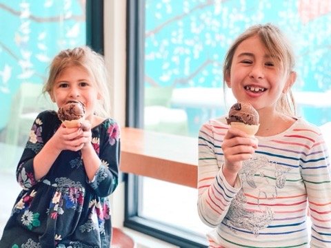 Pine Cone Creamery by null