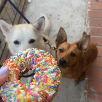 Dirty Dogs - The best local-made treat after the best day getting dirty with the doggos. - Pet Groomers Near Me - Solana Beach, California Dirty Dogs - The best local-made treat after the best day getting dirty with the doggos. - Pet Groomers Near Me - Solana Beach, California