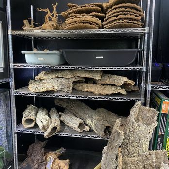 Beast Pets Vista - Reptile Shops Near Me - Vista, California