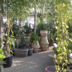 Viveros Spruth - Plantas que alegran el alma