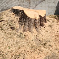 Timberwood Tree Service