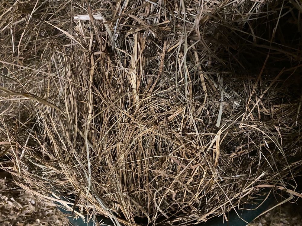 FREEMAN RANCH & STABLES Updated September 2024 25 Photos 28340