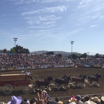Lakeside Rodeo - Clydesdale horses - Rodeo Near Me - Lakeside, California