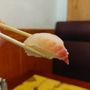 Photo of East Gourmet Buffet