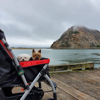 Morro Bay - Enjoying the sights - Landmarks & Historical Buildings Near Me - Morro Bay, California