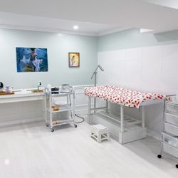 Famik Esthetics - Waxing table